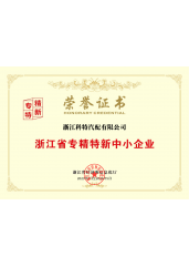 浙江省专精特新中小企业荣誉证书
