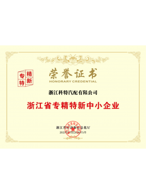 浙江省专精特新中小企业荣誉证书